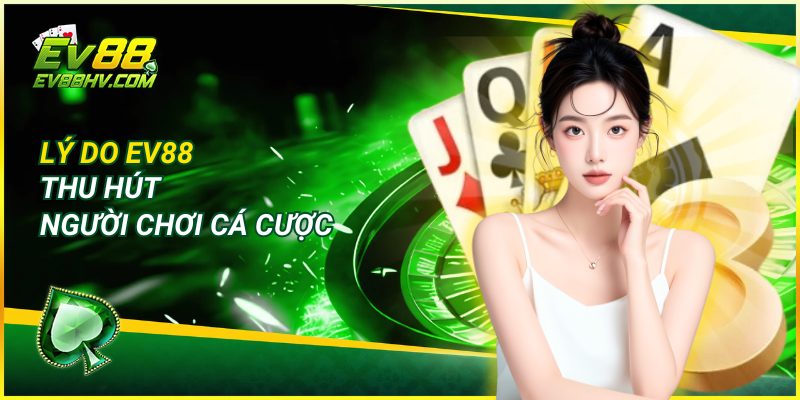 Lý Do EV88 Thu Hút Người Chơi Cá Cược
