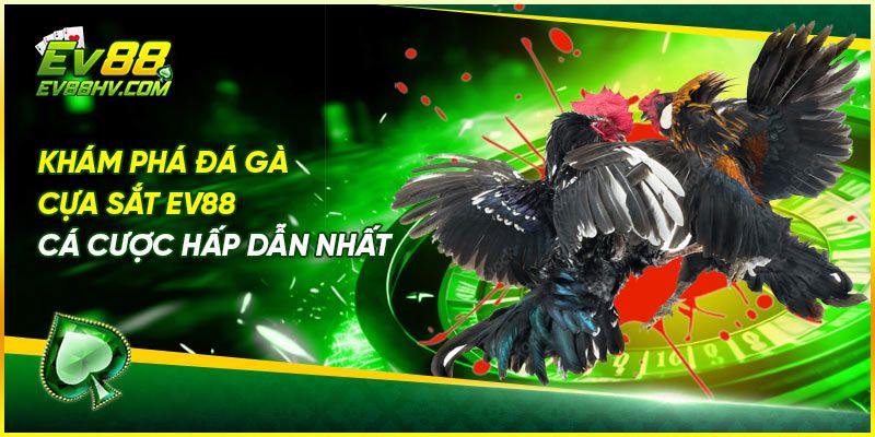 Khám Phá Đá Gà Cựa Sắt EV88 – Cá Cược Hấp Dẫn Nhất
