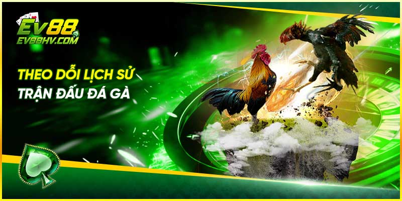 Theo dõi lịch sử trận đấu Đá gà WS168 tại EV88